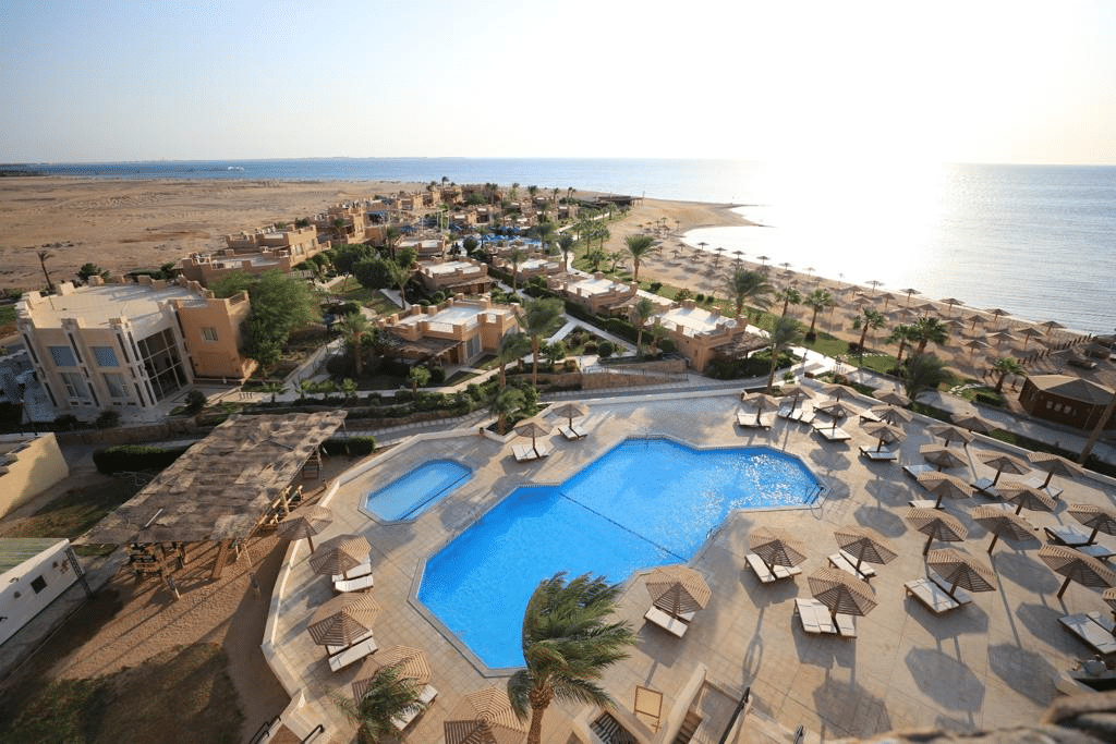 Imperial Shams_resized